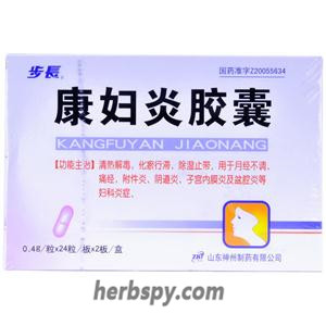 Kangfuyan Jiaonang for dysmenorrhea and annex inflammation